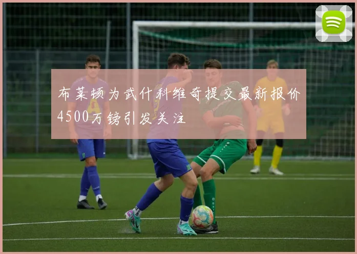 布莱顿为武什科维奇提交最新报价4500万镑引发关注
