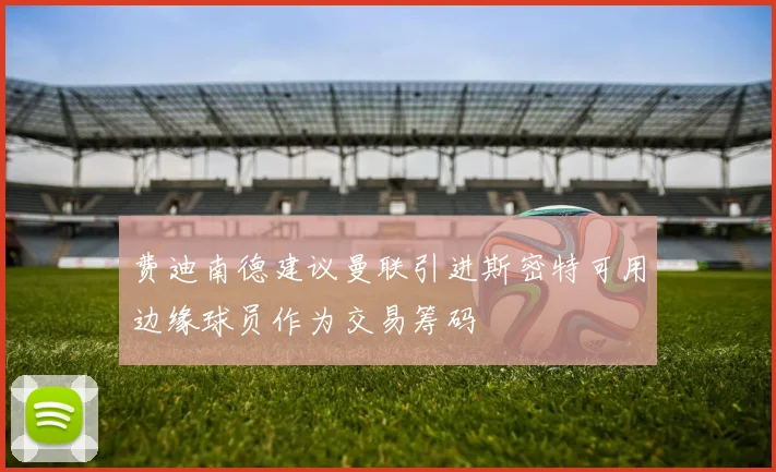 费迪南德建议曼联引进斯密特可用边缘球员作为交易筹码